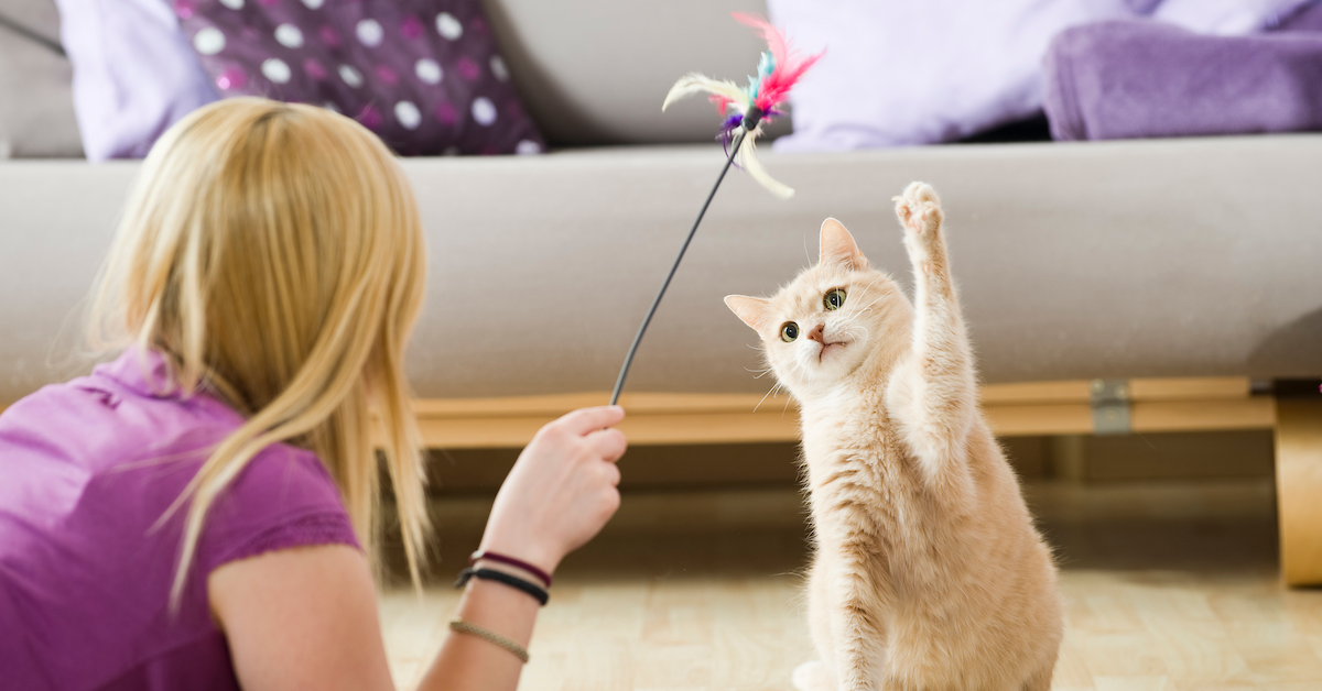 Come Capire Se Il Criceto è Felice